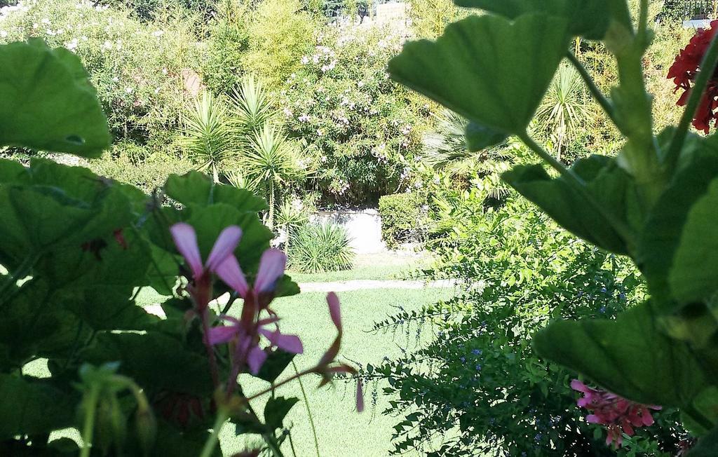 ローマ Casa Per Ferie Cardinal G. Guarino Bed & Breakfast エクステリア 写真